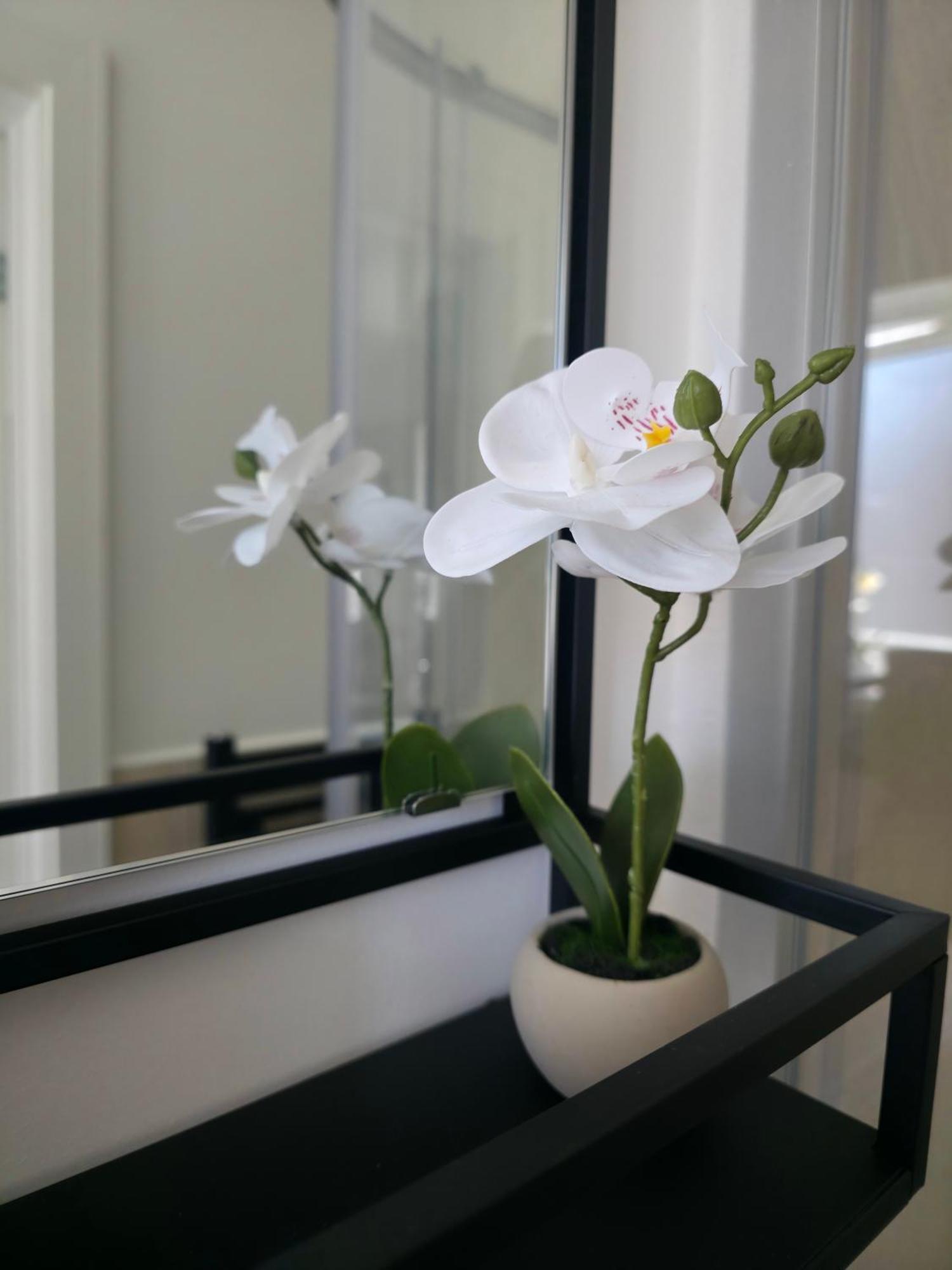 Elegant Flat 4 In Central London London